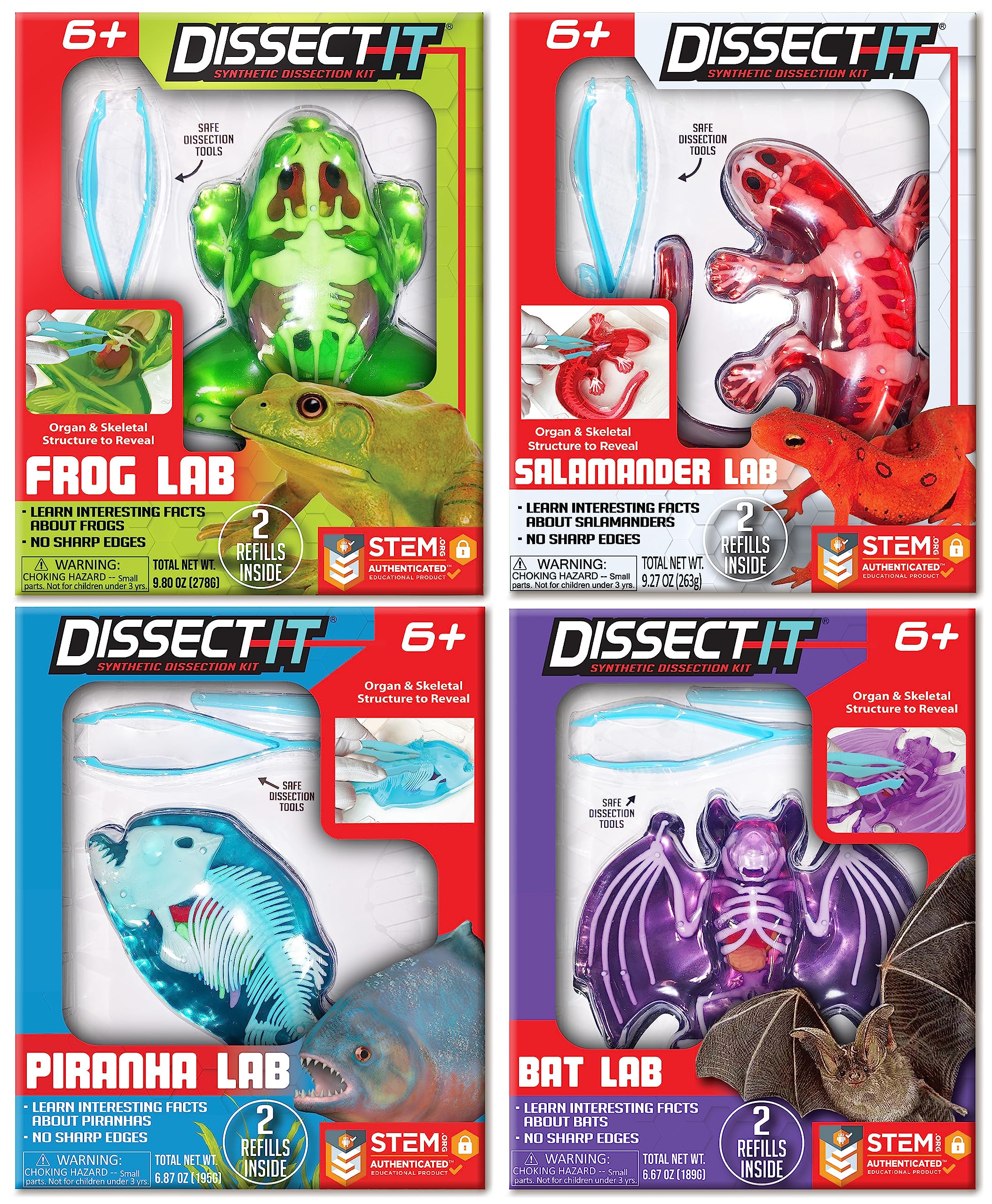 Amazon.com: Dissect-It, Variety Animal Dissection Kit, STEM Toys